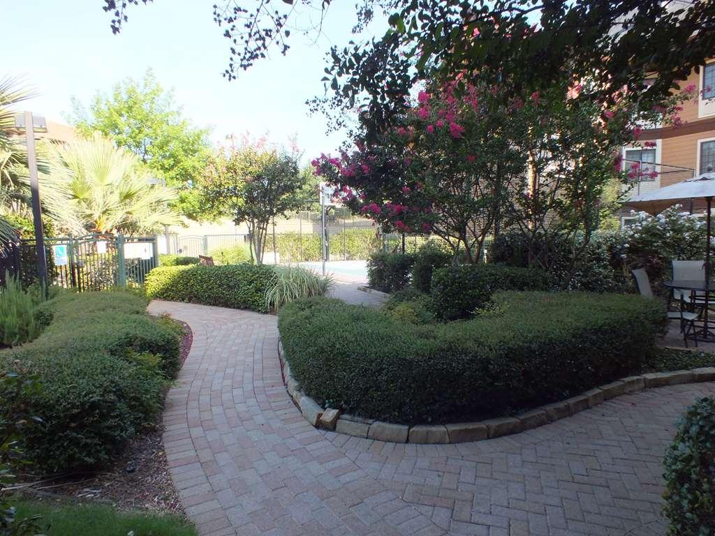 Sonesta Es Suites Dallas - Las Colinas ايرفينغ المظهر الخارجي الصورة